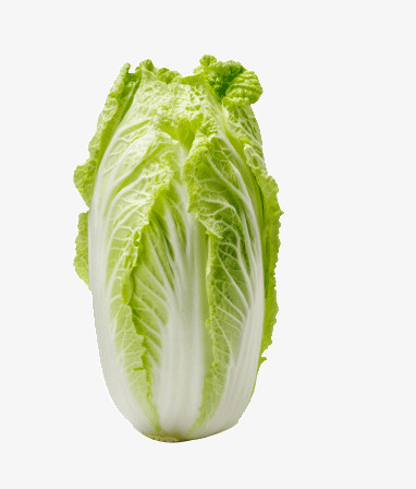 綠色餐桌的藝術 圖精靈免費蔬菜圖片精選與創(chuàng)意應用